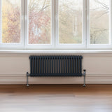 Radiateur Traditionnel à Double Colonne – 300 x 1012 mm – Gris Anthracite