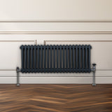 Radiateur Traditionnel à Double Colonne – 300 x 1012 mm – Gris Anthracite