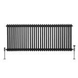 Radiateur Traditionnel à Double Colonne – 600 x 1462 mm – Noir