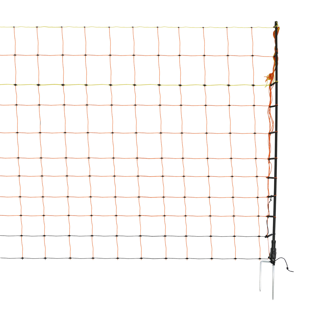 Filet Électrifiable Pour Volaille 50 M & Électrificateur