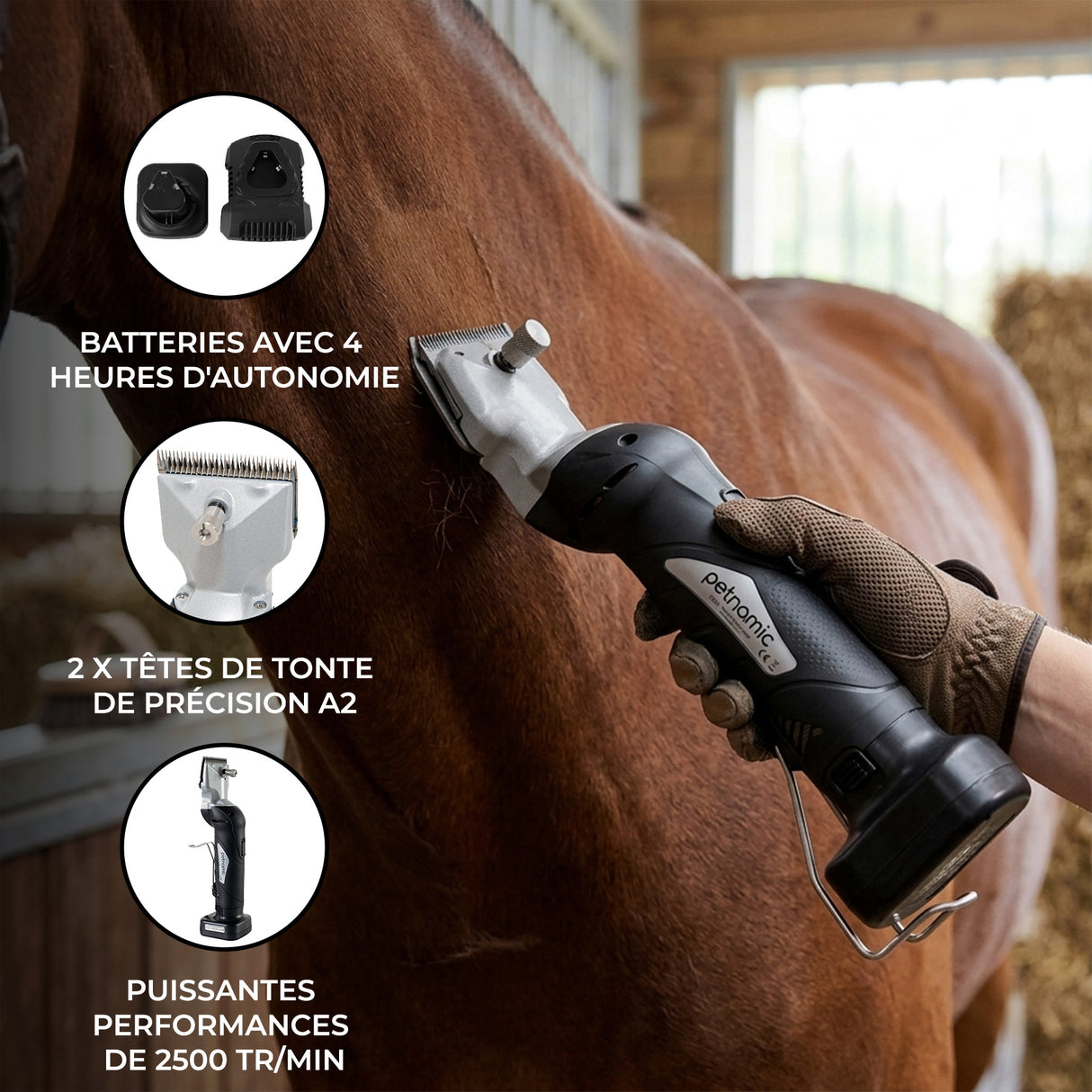 Tondeuse sans fil pour Chevaux - Noire