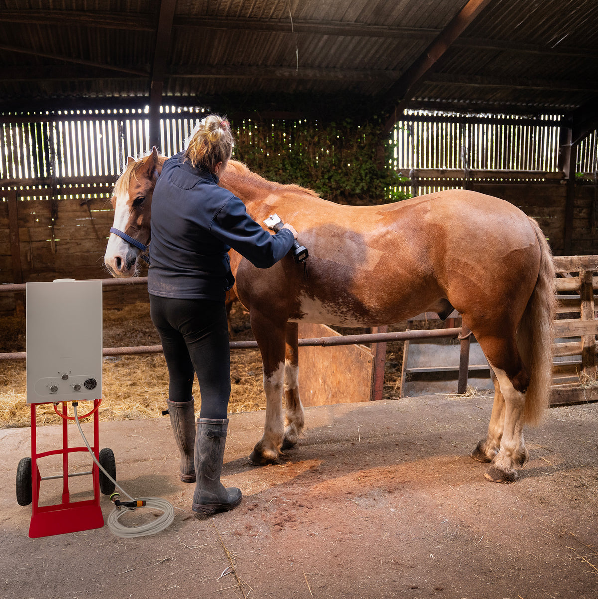 Douche portable blanche sur chariot rouge, utilisée par une personne pour laver un cheval brun dans une écurie en bois