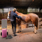 Douche portable rose pour chevaux, avec une tondeuse sans fil, utilisée sur un cheval brun dans une écurie en bois