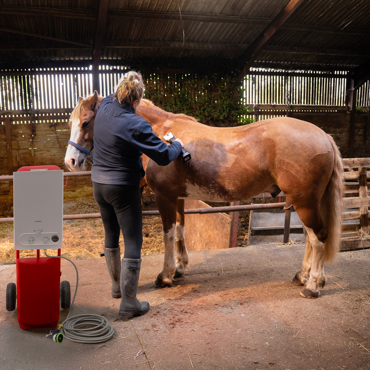 Douche de cheval portable rouge avec tondeuse sans fil, utilisée par une personne pour toiletter un cheval dans une écurie en bois