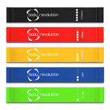 Lot de 5 Bandes de Résistance