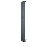Radiateur à Colonnes Ovales & Vannes, 1 Panneau - 1800 x 240 mm - Gris Anthracite
