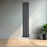 Radiateur plat à 1 panneau gris anthracite, design moderne avec finitions lisses, installé dans un intérieur lumineux avec plante verte