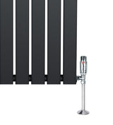 Radiateur plat gris anthracite à 1 panneau, dimensions 1600 x 280 mm, avec vanne chromée élégante et finition lisse