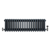 Radiateur Traditionnel à 4 Colonnes & Vannes - 300 x 1010 mm - Gris Anthracite