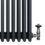 Radiateur Traditionnel à 4 Colonnes & Vannes - 300 x 1505 mm - Gris Anthracite