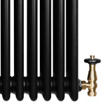 Radiateur Traditionnel à 4 Colonnes & Vannes - 300 x 1505 mm - Noir