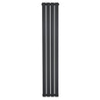 Radiateur plat à un panneau, 1600 x 280 mm, finition gris anthracite, design moderne et épuré, surface lisse et élégante