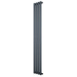 Radiateur à colonnes ovales gris anthracite, 1 panneau, dimensions 1600 x 240 mm, design moderne et épuré, surface lisse et élégante