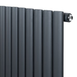Radiateur à colonnes ovales gris anthracite, 1 panneau, 1600 x 240 mm, avec finition lisse et texture moderne, idéal pour le chauffage intérieur