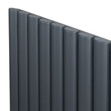 Radiateur à colonnes ovales gris anthracite, 1 panneau, dimensions 1600 x 360 mm, surface lisse et moderne, design élégant