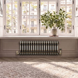Radiateur Traditionnel à 2 Colonnes - 300 x 830 mm - Métal Brut