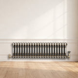 Radiateur Traditionnel à 2 Colonnes - 300 x 1010 mm - Métal Brut