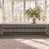 Radiateur Traditionnel à 2 Colonnes - 300 x 1460 mm - Métal Brut