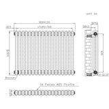 Radiateur Traditionnel à 2 Colonnes - 600 x 830 mm - Métal Brut
