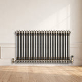 Radiateur Traditionnel à 2 Colonnes - 600 x 1010 mm - Métal Brut