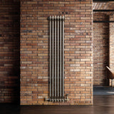 Radiateur Traditionnel à 2 Colonnes - 1500 x 290 mm - Métal Brut