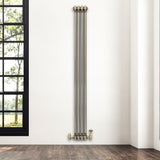Radiateur Traditionnel à 2 Colonnes - 1800 x 200 mm - Métal Brut