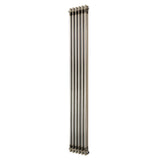 Radiateur Traditionnel à 2 Colonnes - 1800 x 290 mm - Métal Brut