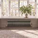 Radiateur Traditionnel à 2 Colonnes & Vannes - 300 x 1010 mm - Métal Brut