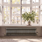 Radiateur Traditionnel à 2 Colonnes & Vannes - 300 x 1190 mm - Métal Brut