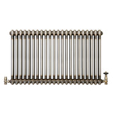 Radiateur Traditionnel à 2 Colonnes & Vannes - 600 x 1010 mm - Métal Brut