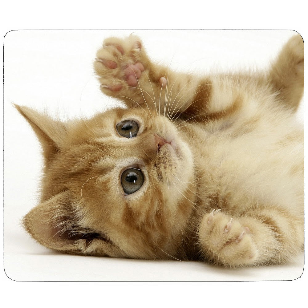 10 Tapis de Souris Vierges pour Sublimation