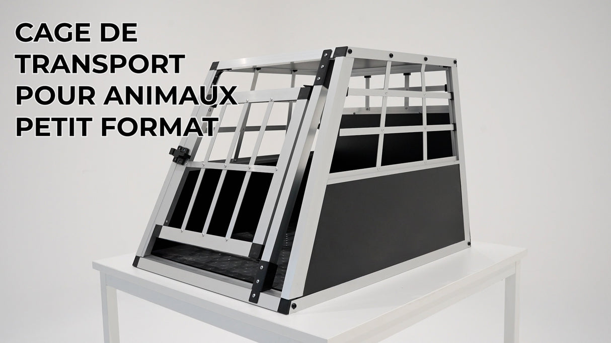 Cage de Transport pour Animaux Petit Format