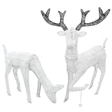 Cerf & Biche LED Blanc Froid