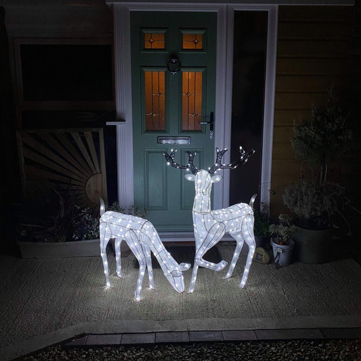 Cerf & Biche LED Blanc Froid