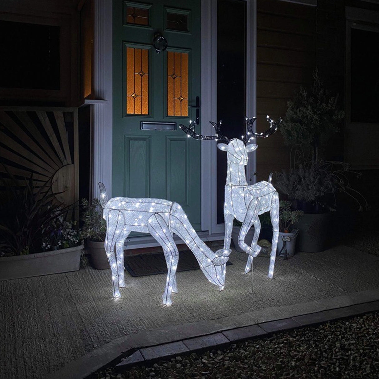Cerf & Biche LED Blanc Froid