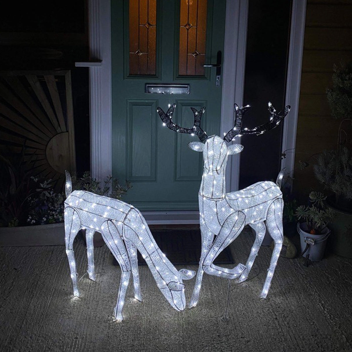 Cerf & Biche LED Blanc Froid