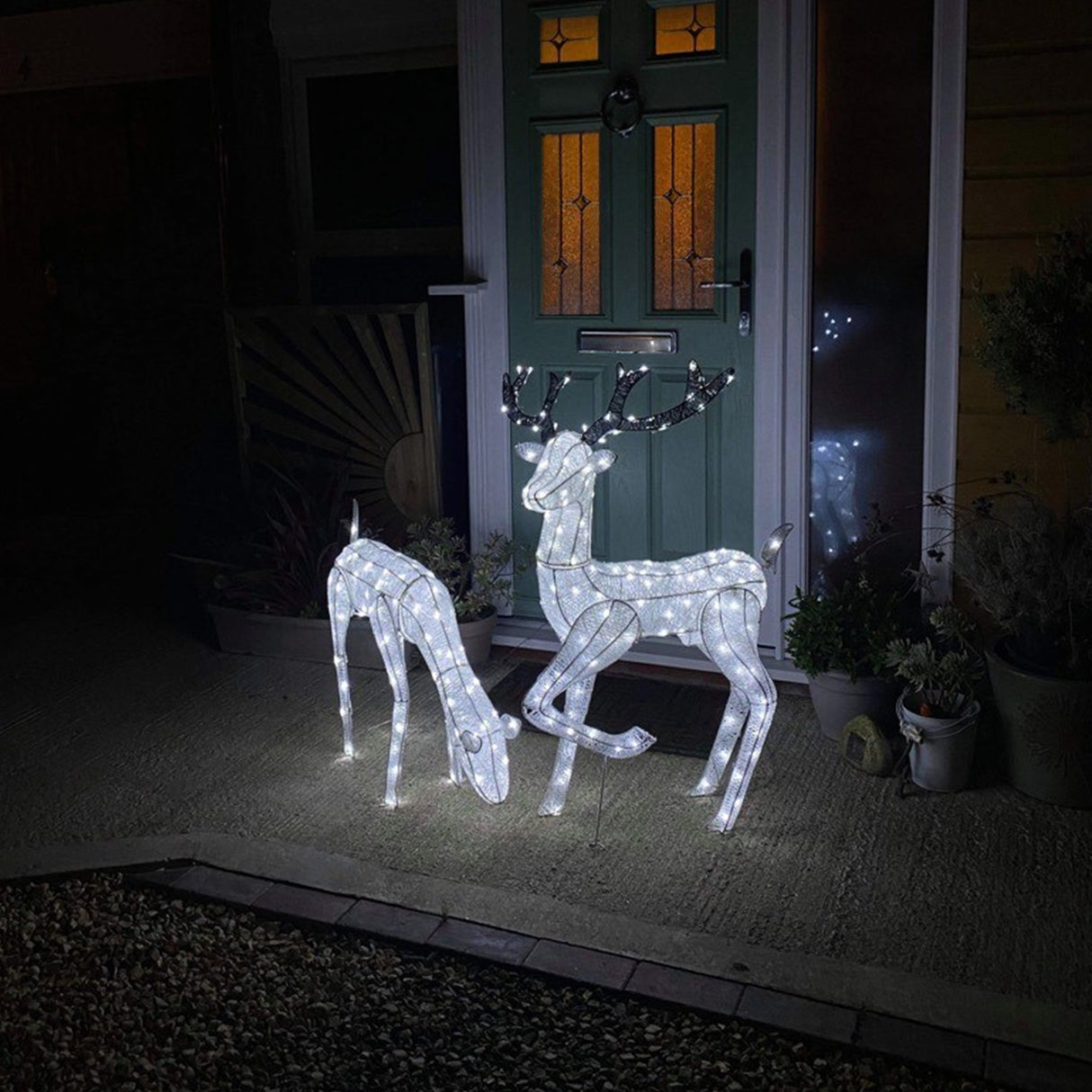 Cerf & Biche LED Blanc Froid