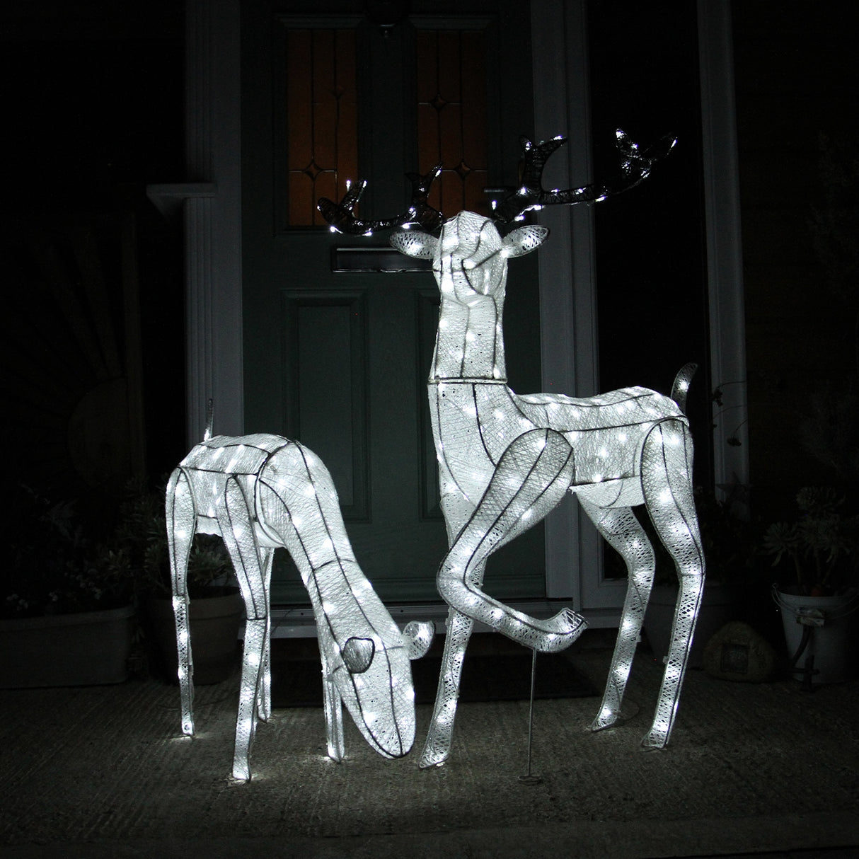 Cerf & Biche LED Blanc Froid