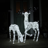 Cerf & Biche LED Blanc Froid