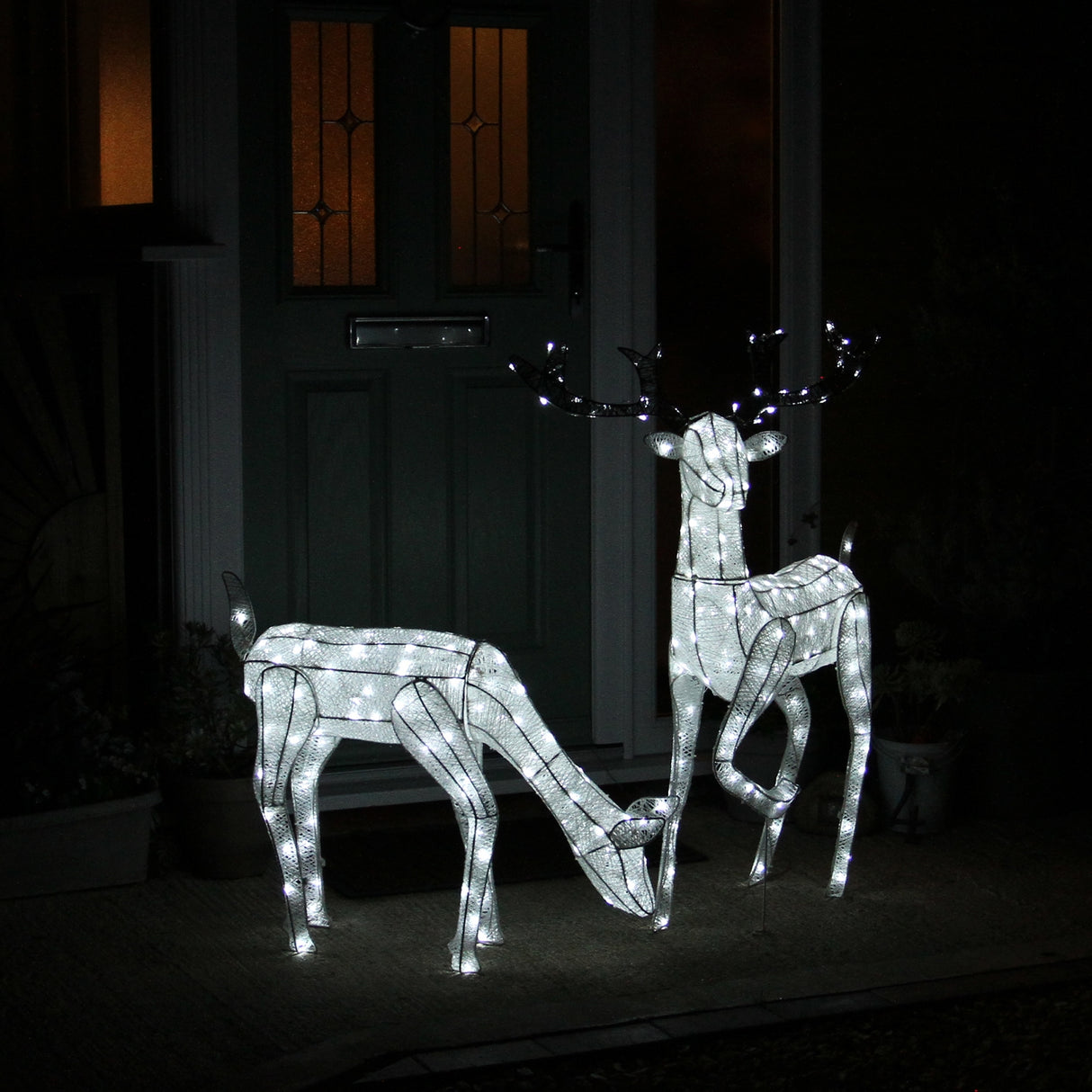 Cerf & Biche LED Blanc Froid
