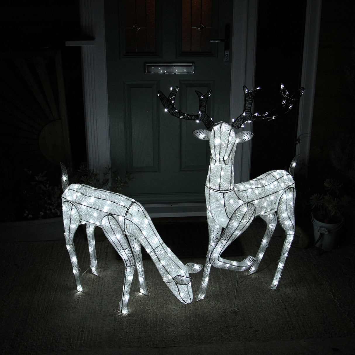 Cerf & Biche LED Blanc Froid