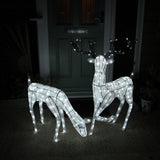 Cerf & Biche LED Blanc Froid