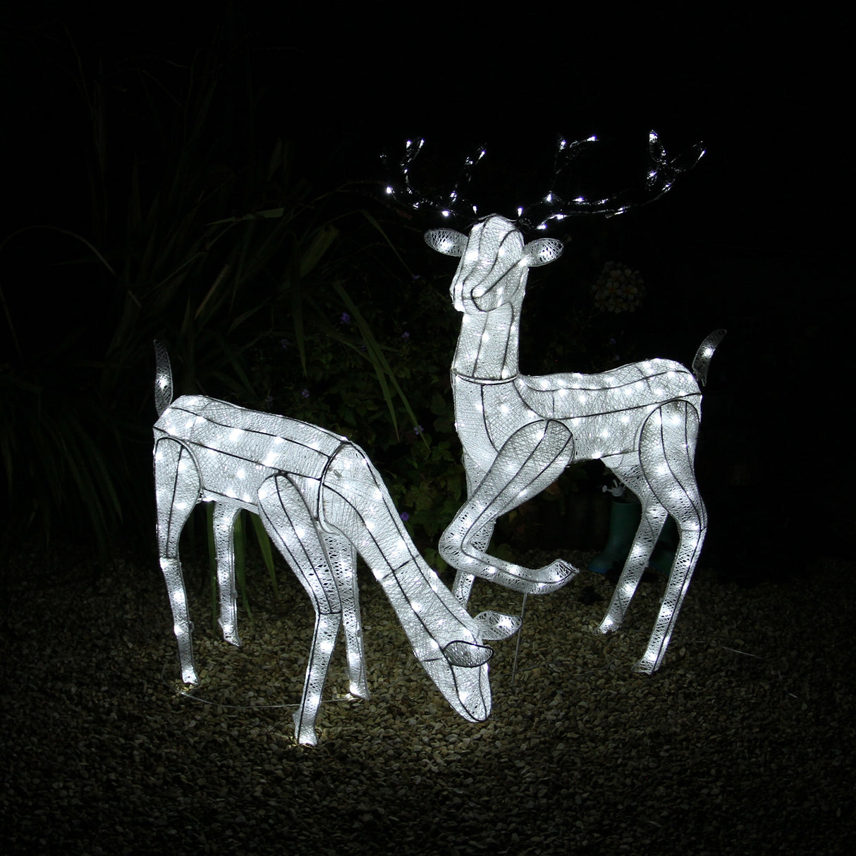Cerf & Biche LED Blanc Froid