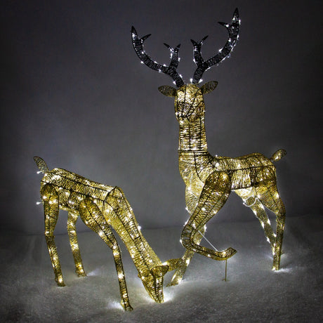 Cerf & Biche Dorés LED Blanc Chaud